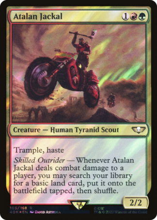 Atalan Jackal