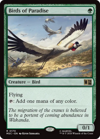 Birds of Paradise Birds of Paradise