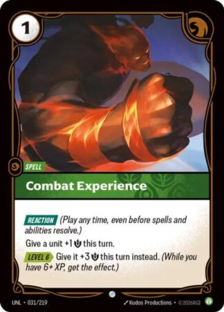 Combat Experience Combat Experience