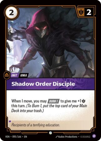 Shadow Order Disciple Shadow Order Disciple