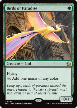 Birds of Paradise Birds of Paradise